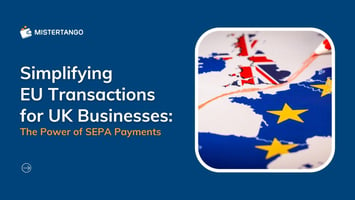 Simplifying EU Transactions for UK Businesses